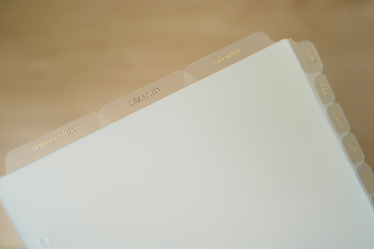 The Content Planner (Special Luxe Edition A5 Binder)